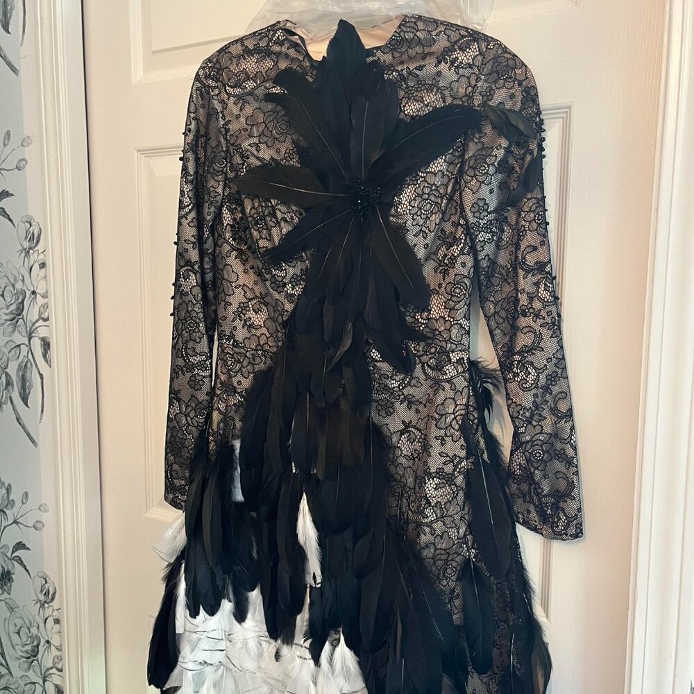 Jovani LAce feather Dress